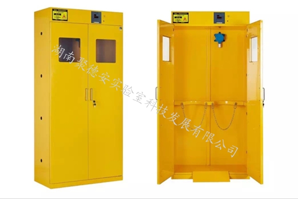 全钢气瓶柜双瓶